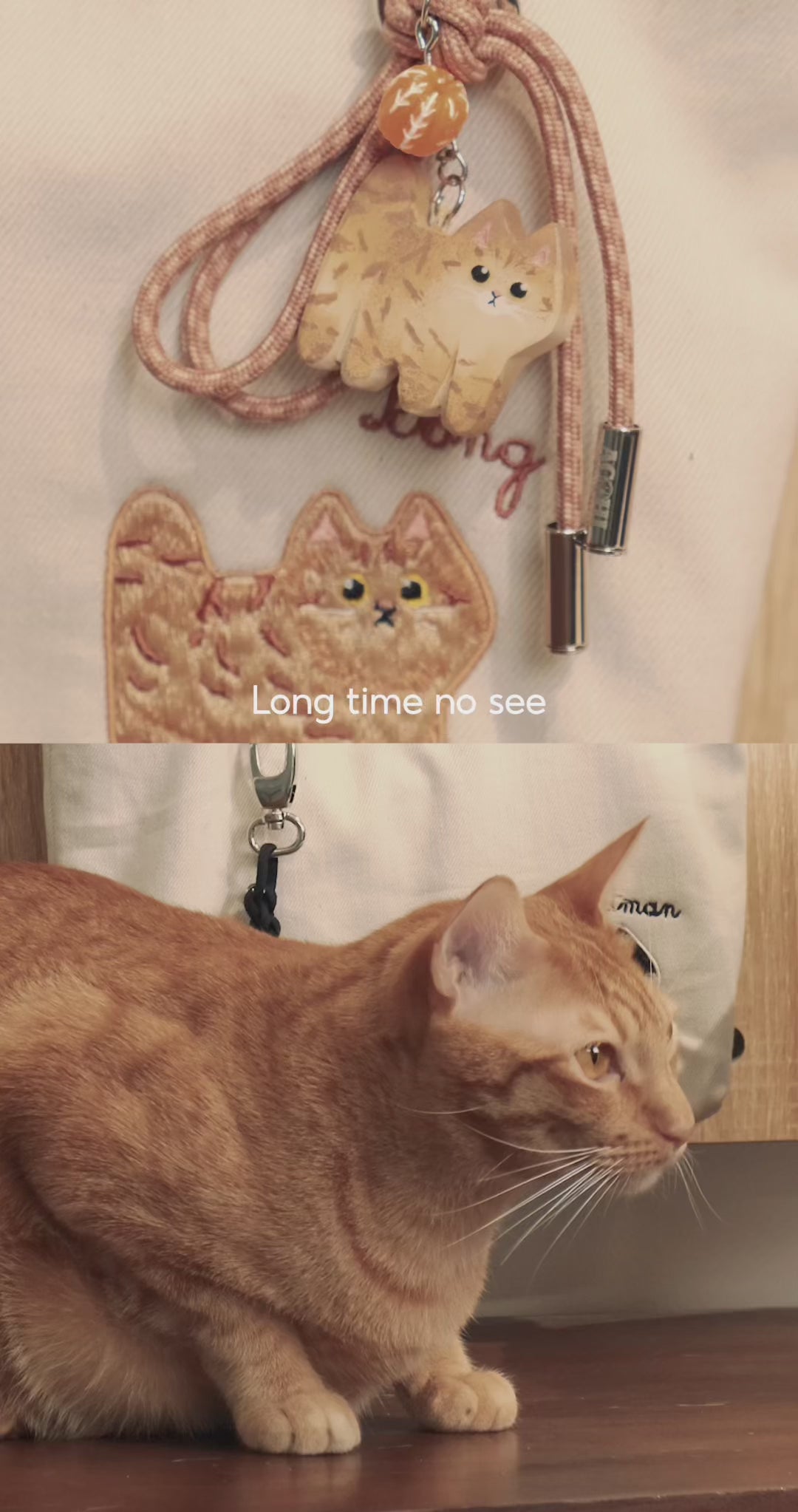 Custom Pet Totebag - Furever Tote